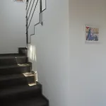 Tord Massot 11 Chalé